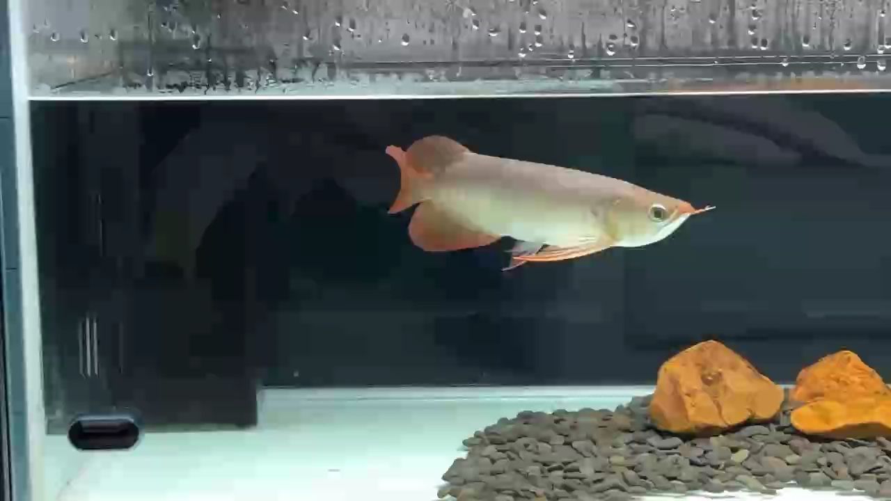 到家后第三天！