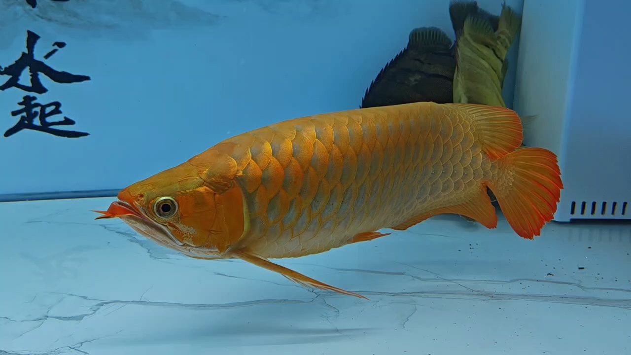 喜歡造浪的感覺[keai][keai][keai]