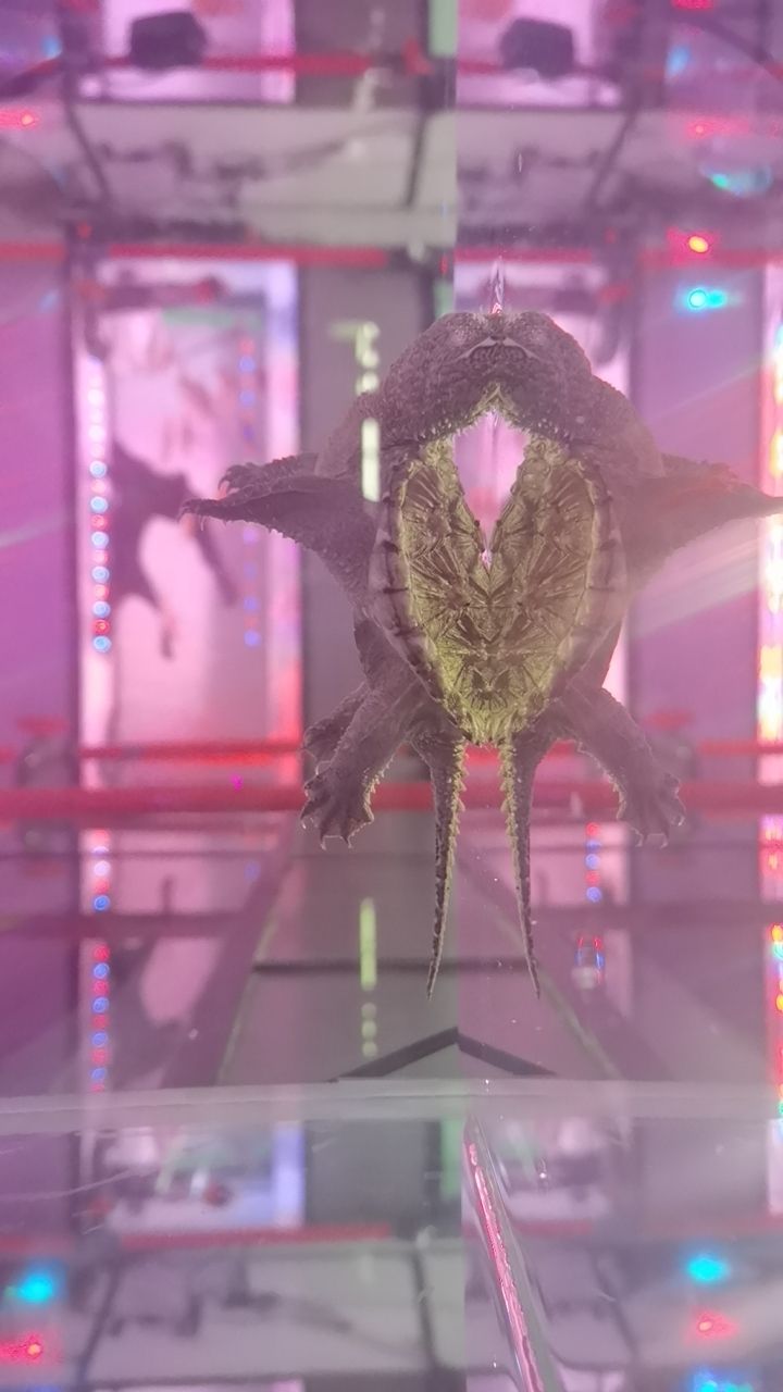 早上開始盤盤串