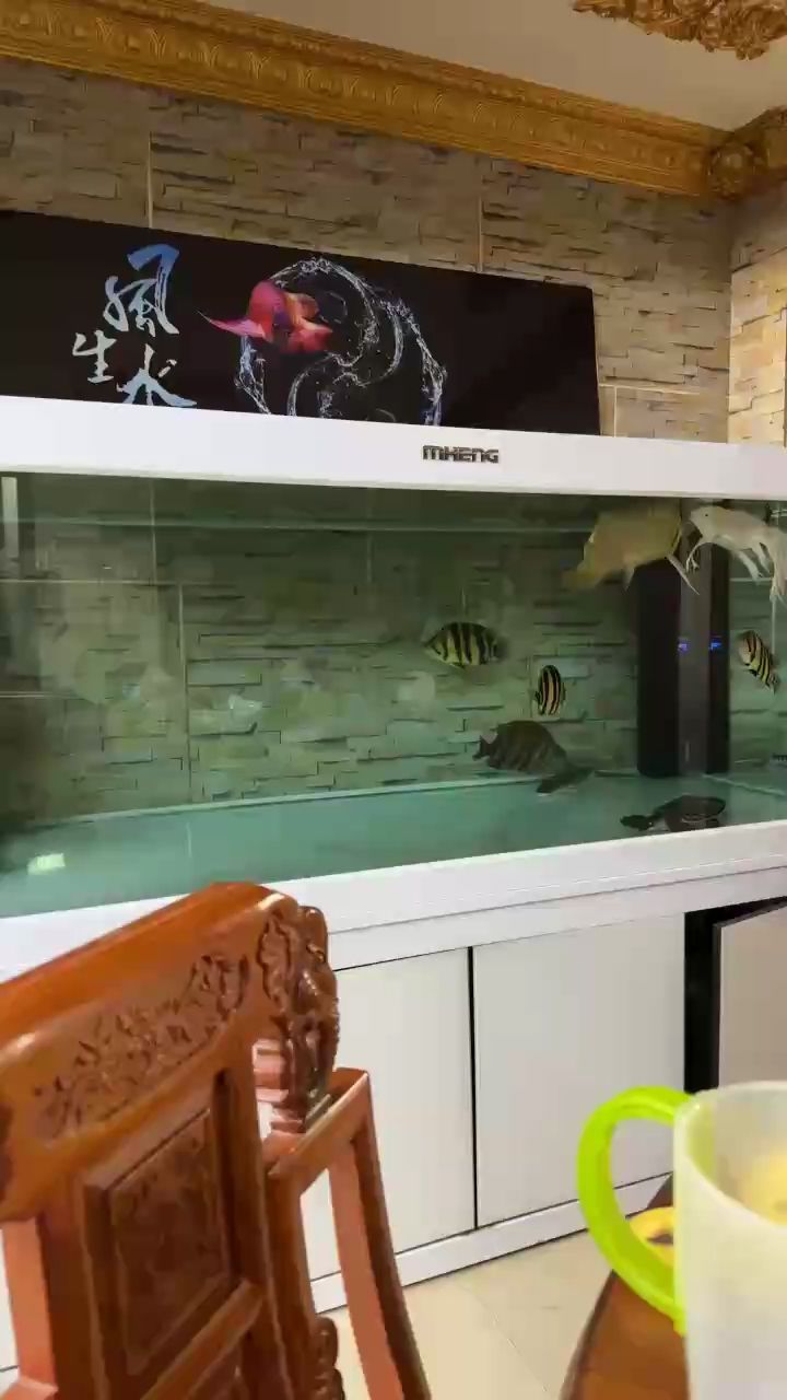 龍要涼涼了 龍要涼涼了 龍魚論壇