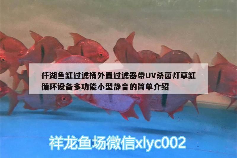 仟湖魚缸過濾桶外置過濾器帶UV殺菌燈草缸循環(huán)設(shè)備多功能小型靜音的簡單介紹