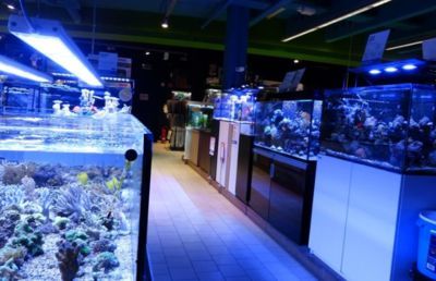 開水族館掙錢嗎現在（開一家水族館是否盈利取決于多種因素）
