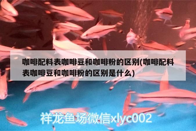 咖啡配料表咖啡豆和咖啡粉的區別(咖啡配料表咖啡豆和咖啡粉的區別是什么)