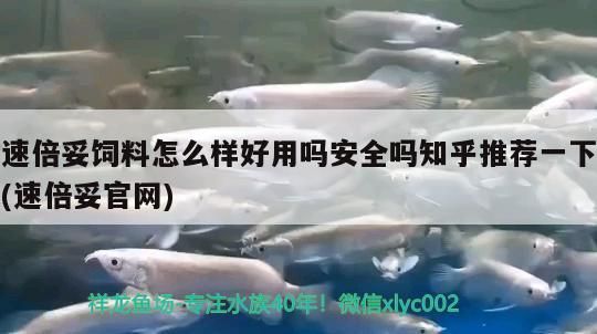 速倍妥飼料怎么樣好用嗎安全嗎知乎推薦一下(速倍妥官網)