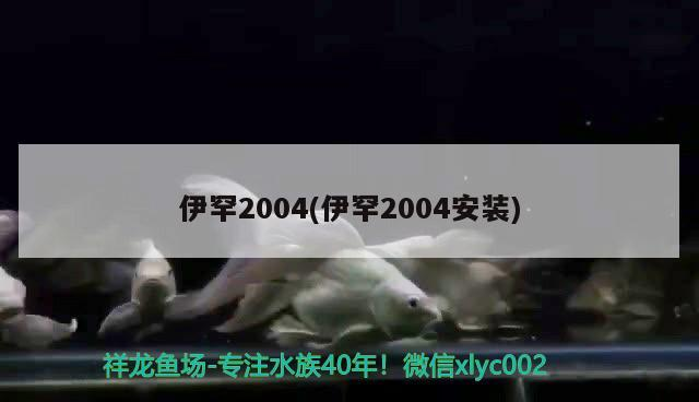 伊罕2004(伊罕2004安裝) 伊罕2004(伊罕2004安裝) 伊罕水族