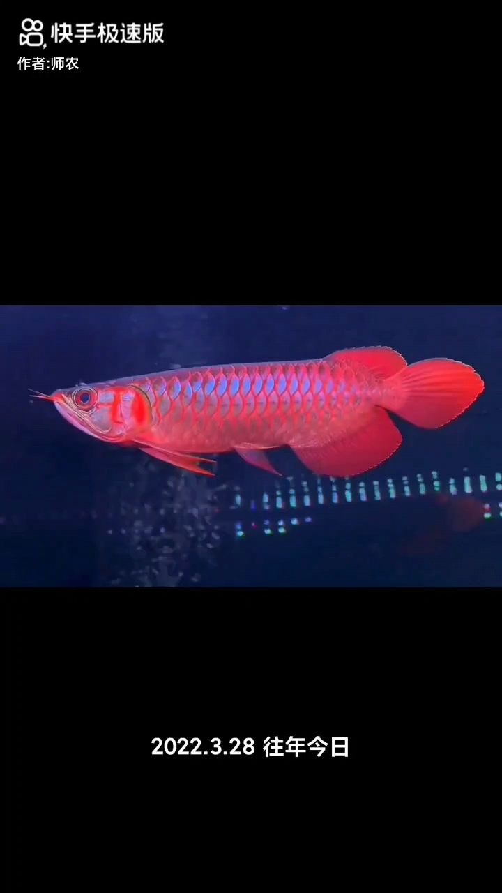 魚缸造景如何清理魚缸內(nèi)臟視頻（魚缸造景視頻教程），魚缸造景如何清理魚缸內(nèi)臟
