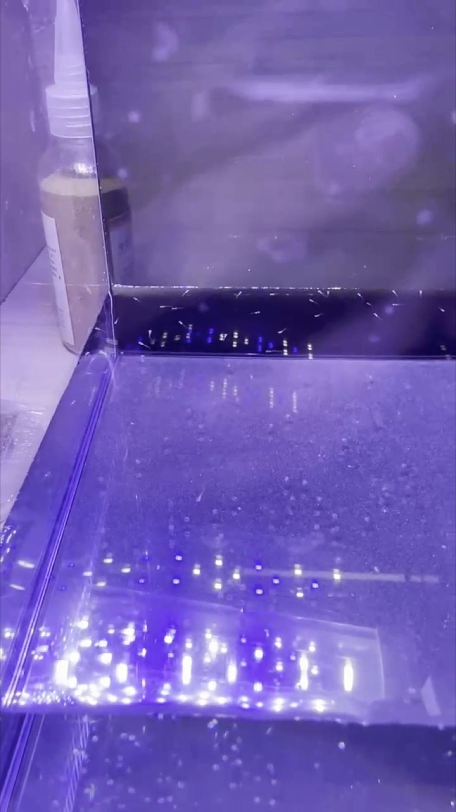 沉浸式快速體驗(yàn)青鱂魚的孵化#青鱂魚孵化