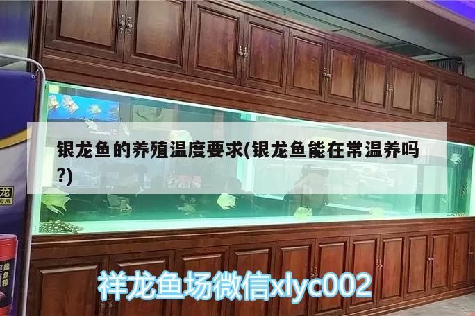 銀龍魚的養殖溫度要求(銀龍魚能在常溫養嗎?) 銀龍魚的養殖溫度要求(銀龍魚能在常溫養嗎?) 銀龍魚百科