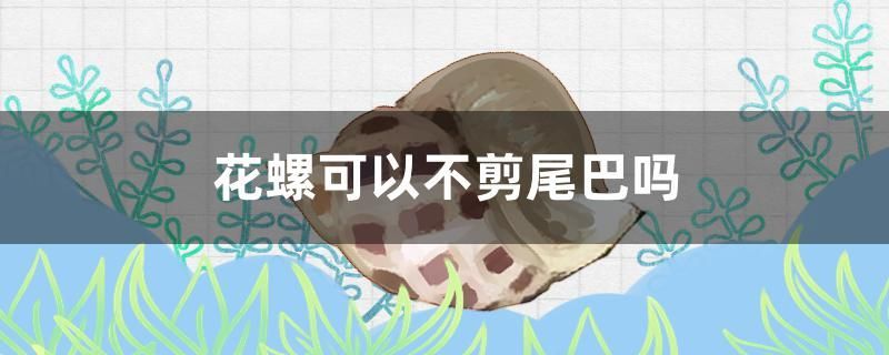 花螺可以不剪尾巴嗎