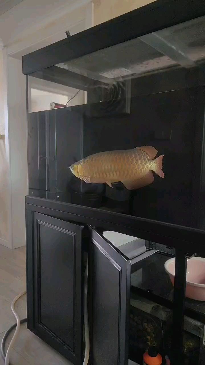 換水中