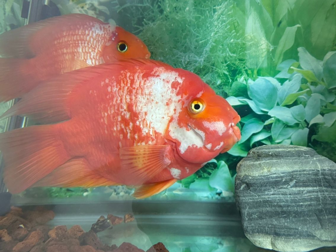 求高手指點(diǎn)