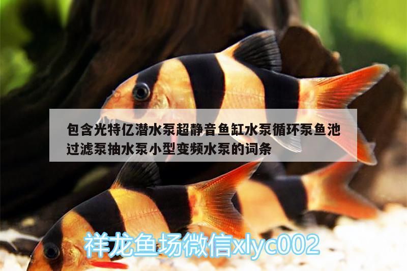包含光特億潛水泵超靜音魚缸水泵循環泵魚池過濾泵抽水泵小型變頻水泵的詞條