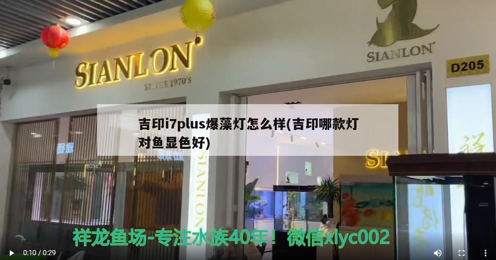 吉印i7plus爆藻燈怎么樣(吉印哪款燈對魚顯色好) 吉印i7plus爆藻燈怎么樣(吉印哪款燈對魚顯色好) 吉印水族
