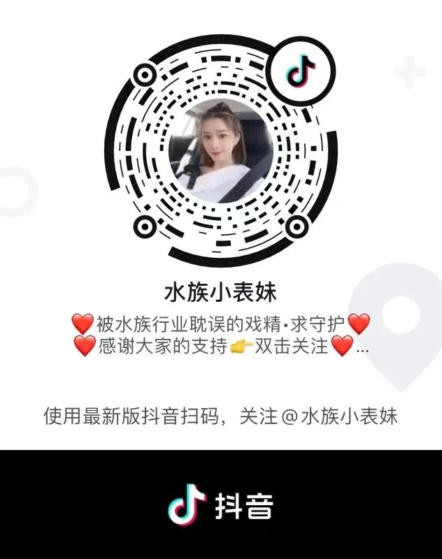 仟湖娛樂｜來面試的小姐姐差點笑到缺氧