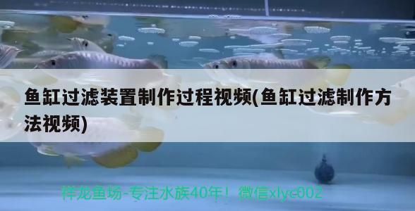 魚缸過濾裝置制作過程視頻(魚缸過濾制作方法視頻)