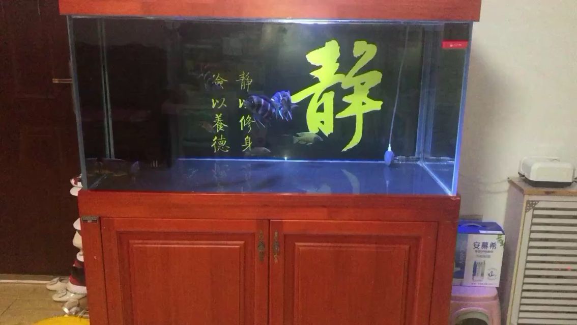宿州哪里有賣魚缸的實體店鋪地址（宿州金魚批發市場在哪里）