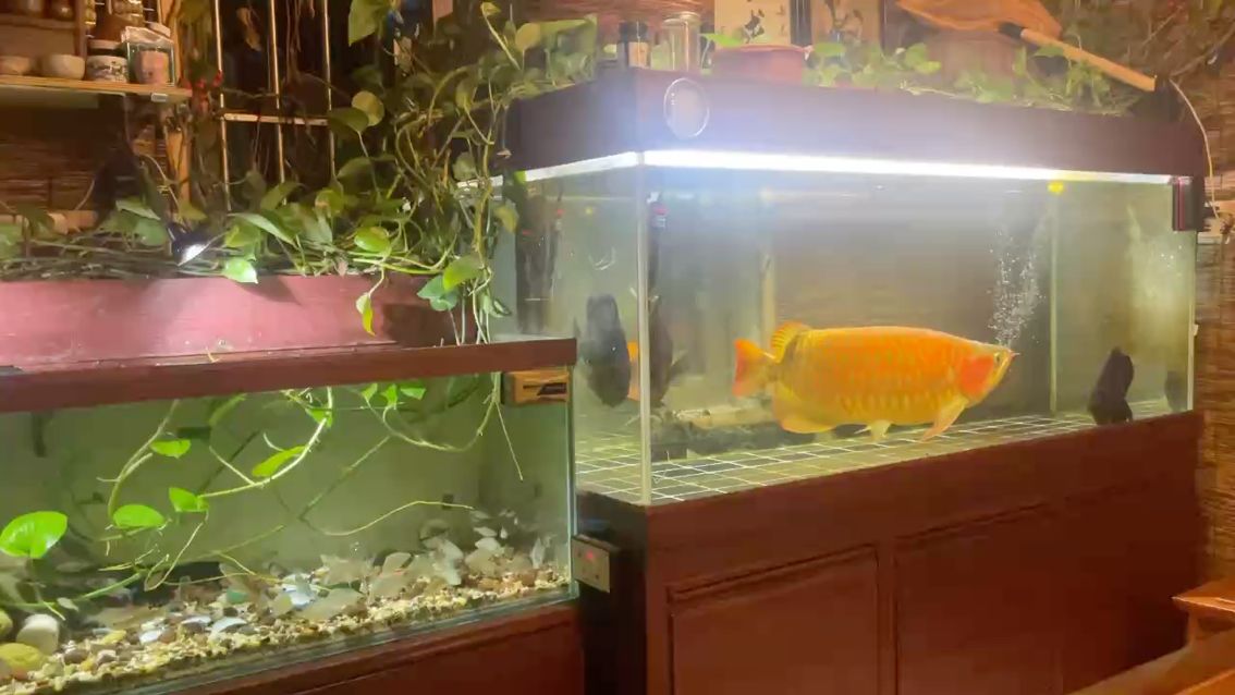 人生百味，樂在其中