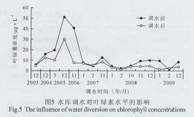 臨河觀賞魚哪兒有賣的地方呀圖片（臨河觀賞魚哪兒有賣的地方呀圖片） 臨河觀賞魚哪兒有賣的地方呀圖片（臨河觀賞魚哪兒有賣的地方呀圖片） 龍魚之家 第2張