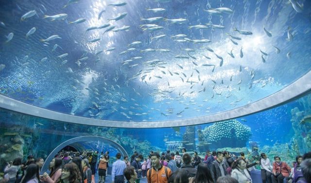 水族館里100種動物名稱和特征以及生活環境（100種動物的名稱、特征以及生活環境）