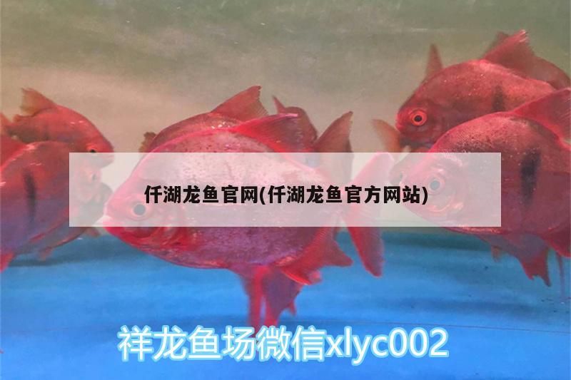 仟湖龍魚官網(仟湖龍魚官方網站) 仟湖龍魚官網(仟湖龍魚官方網站) 仟湖