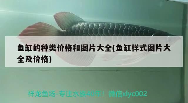 魚(yú)缸的種類價(jià)格和圖片大全(魚(yú)缸樣式圖片大全及價(jià)格)