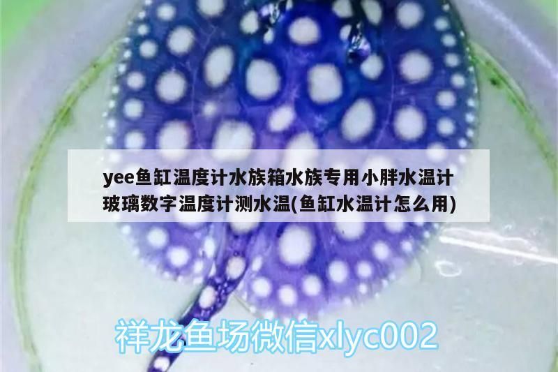 yee魚缸溫度計水族箱水族專用小胖水溫計玻璃數字溫度計測水溫(魚缸水溫計怎么用)