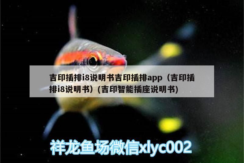 吉印插排i8說明書吉印插排app（吉印插排i8說明書）(吉印智能插座說明書) 吉印插排i8說明書吉印插排app（吉印插排i8說明書）(吉印智能插座說明書) 吉印水族