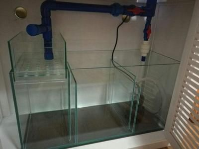 博特魚缸過濾棉使用經驗分享：博特魚缸過濾棉使用經驗 博特魚缸過濾棉使用經驗分享：博特魚缸過濾棉使用經驗 博特水族 第3張