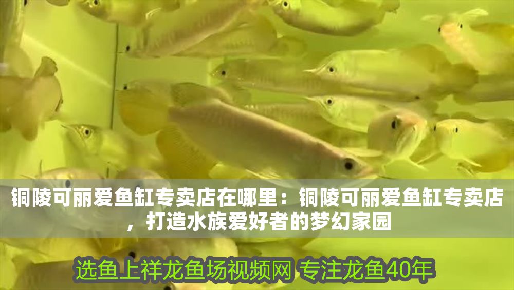 馬印增色燈發綠怎么回事:馬印增色燈發綠怎么回事馬印增色燈發綠怎么回事 馬印水族 第1張 馬印增色燈發綠怎么回事:馬印增色燈發綠怎么回事馬印增色燈發綠怎么回事 馬印增色燈發綠怎么回事:馬印增色燈發綠怎么回事馬印增色燈發綠怎么回事 馬印水族 第1張