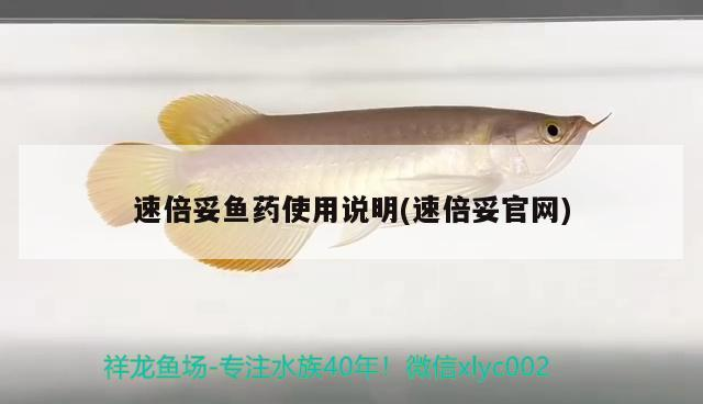 魚缸過濾器選購指南:自制魚缸過濾器魚缸上置過濾器對于養魚愛好者的必備知識 速倍妥魚藥使用說明(速倍妥官網) 速倍妥 速倍妥魚藥使用說明(速倍妥官網) 速倍妥魚藥使用說明(速倍妥官網) 速倍妥