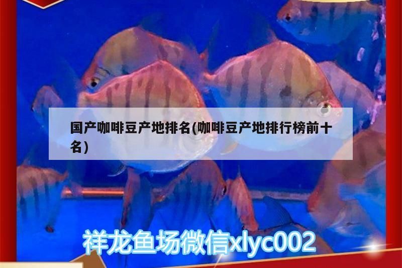 國產咖啡豆產地排名(咖啡豆產地排行榜前十名)