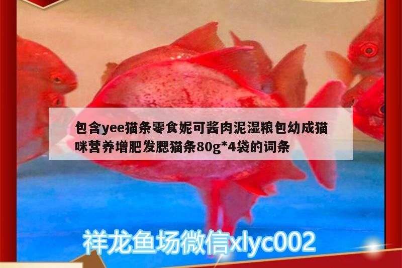 包含yee貓條零食妮可醬肉泥濕糧包幼成貓咪營養增肥發腮貓條80g