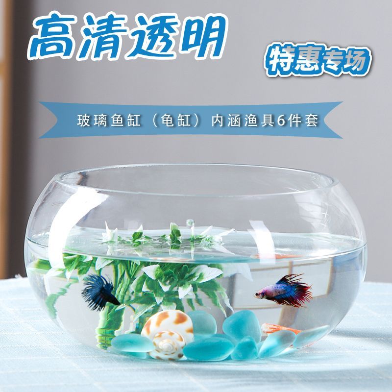 2020水族魚(yú)缸博覽會(huì)視頻：2020年廣州國(guó)際水族展亮點(diǎn)打造性價(jià)比展會(huì)