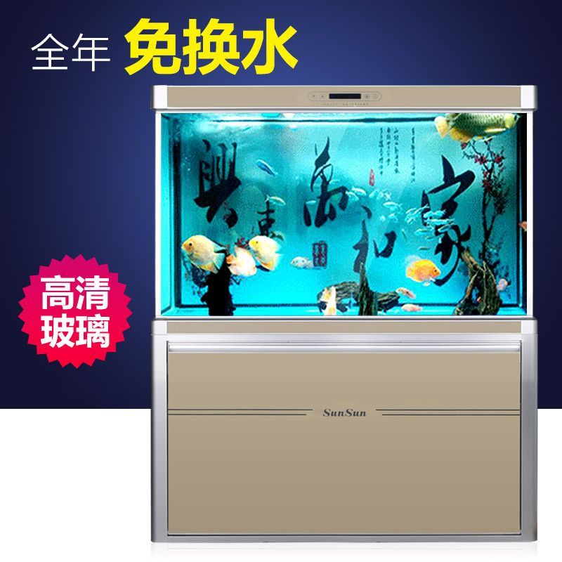 2020水族魚(yú)缸博覽會(huì)視頻：2020年廣州國(guó)際水族展亮點(diǎn)打造性價(jià)比展會(huì)