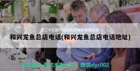 和興龍魚總店電話(和興龍魚總店電話地址) 和興龍魚總店電話(和興龍魚總店電話地址) 和興紅龍