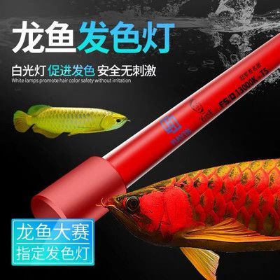 馬印13000k發色燈適用于：馬印13000k發色燈適用于各種生長階段的龍魚