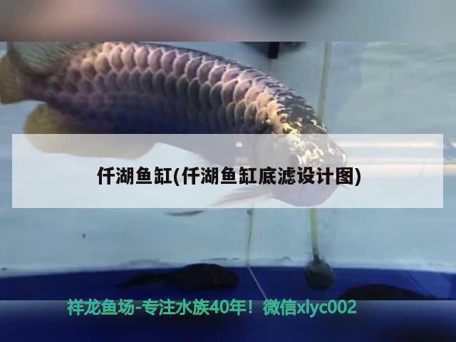 仟湖魚缸(仟湖魚缸底濾設計圖)