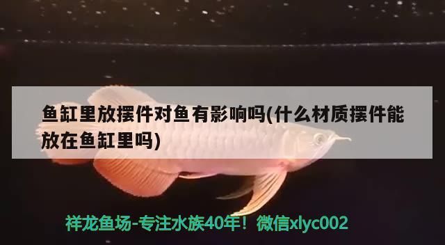 魚缸里放擺件對魚有影響嗎(什么材質擺件能放在魚缸里嗎)