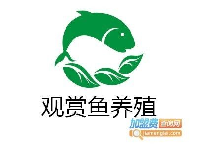 觀賞魚加盟品牌有哪些(觀賞魚加盟加盟品牌)