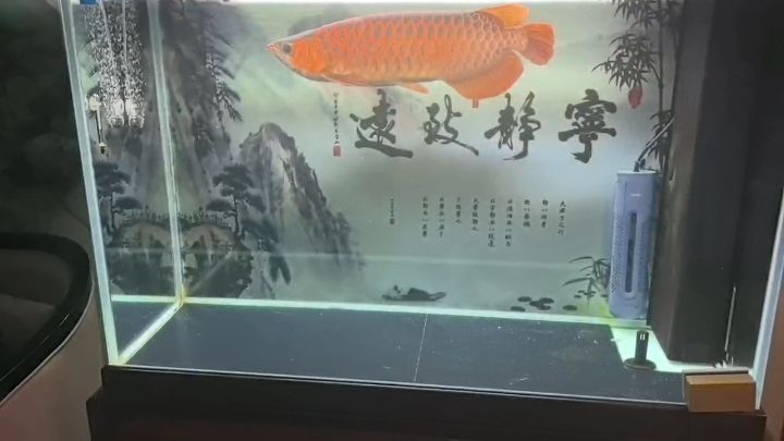 4歲了！！！
