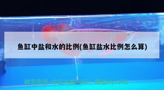 魚缸中鹽和水的比例(魚缸鹽水比例怎么算)