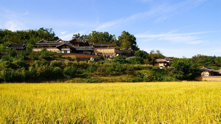海口龍魚批發(fā)市場地址在哪里呀（海口哪里賣龍魚）