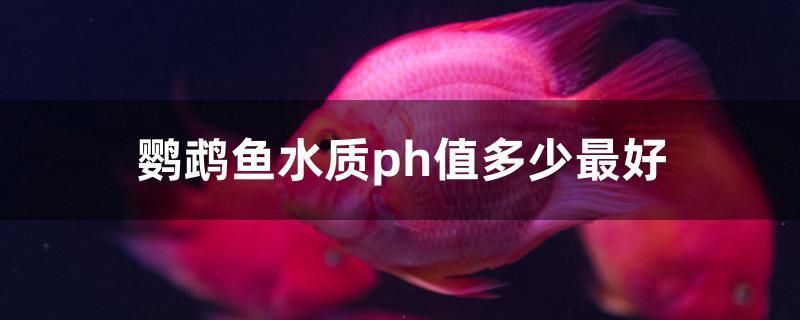 西寧二手魚缸回收地址在哪里呀（如何設計和維護開放式陽臺） 西寧二手魚缸回收地址在哪里呀（如何設計和維護開放式陽臺） 錦鯉魚百科 第1張