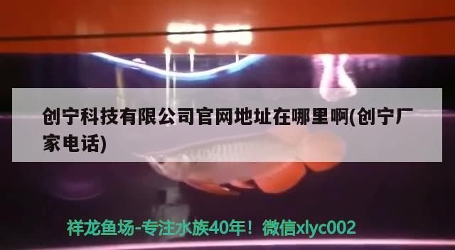 創寧科技有限公司官網地址在哪里啊(創寧廠家電話)