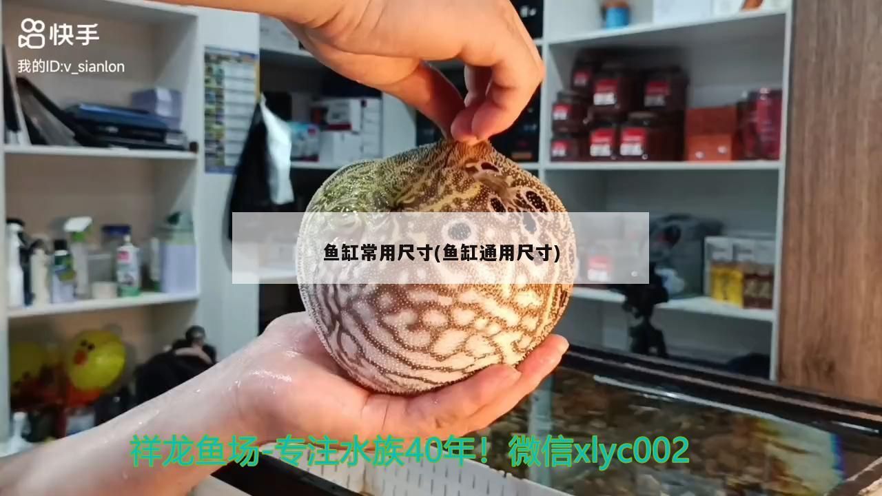 大連58同城二手魚缸轉讓電話（大連58同城二手魚缸轉讓電話多少）