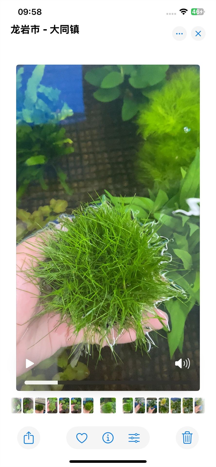 我找大師算過了， 今天不適合干活 我找大師算過了， 今天不適合干活 龍魚論壇