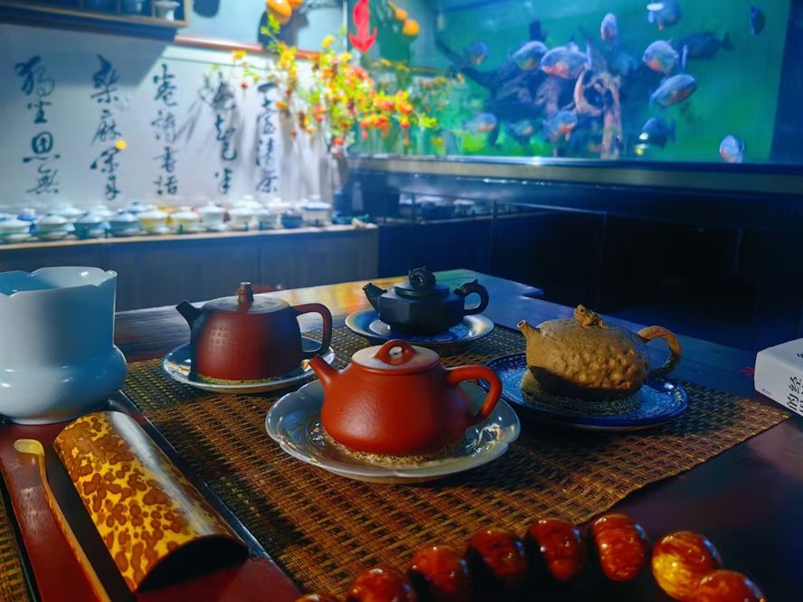 一壺清茶，三個魚缸…… 一壺清茶，三個魚缸…… 龍魚論壇 第1張