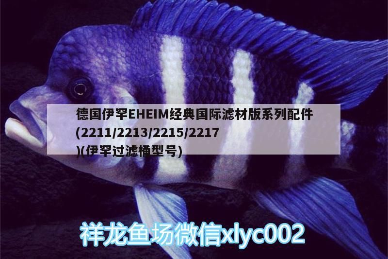 德國伊罕EHEIM經典國際濾材版系列配件(2211/2213/2215/2217)(伊罕過濾桶型號)