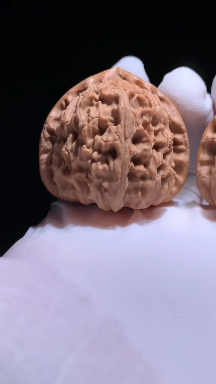 延慶三角白核桃 龍魚論壇 延慶三角白核桃 延慶三角白核桃 龍魚論壇