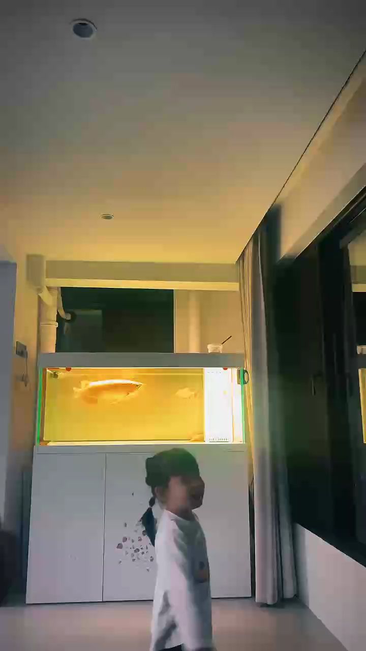 兩年半，夏天了，準備換回黑底了！